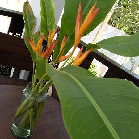 Chalisa Villas Koh Tao Exteriör bild